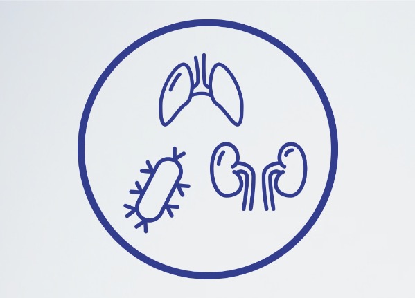 Icon with lungs, kidneys and endotoxin				