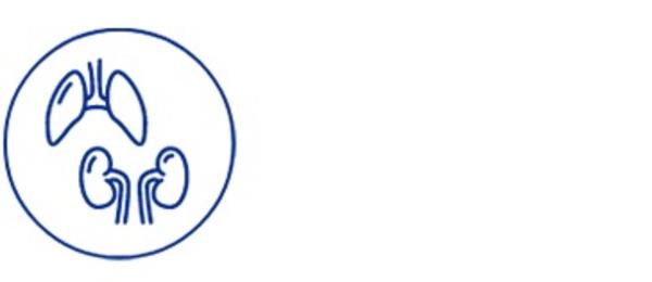 Icon of lungs and kidneys