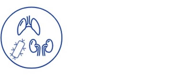 Icon with lungs, kidneys and endotoxin